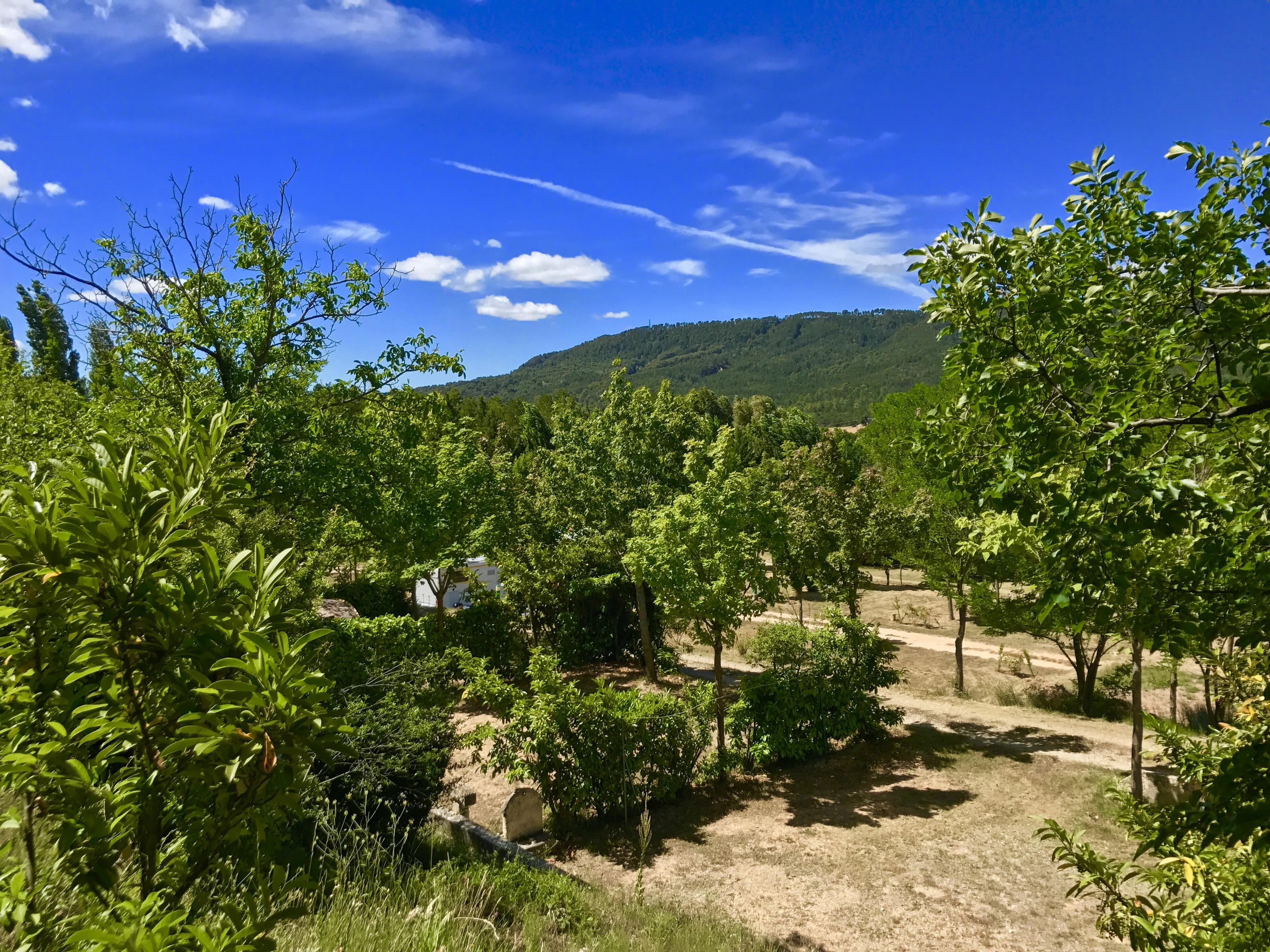 A scenery from Camping Le Vieux Colombier