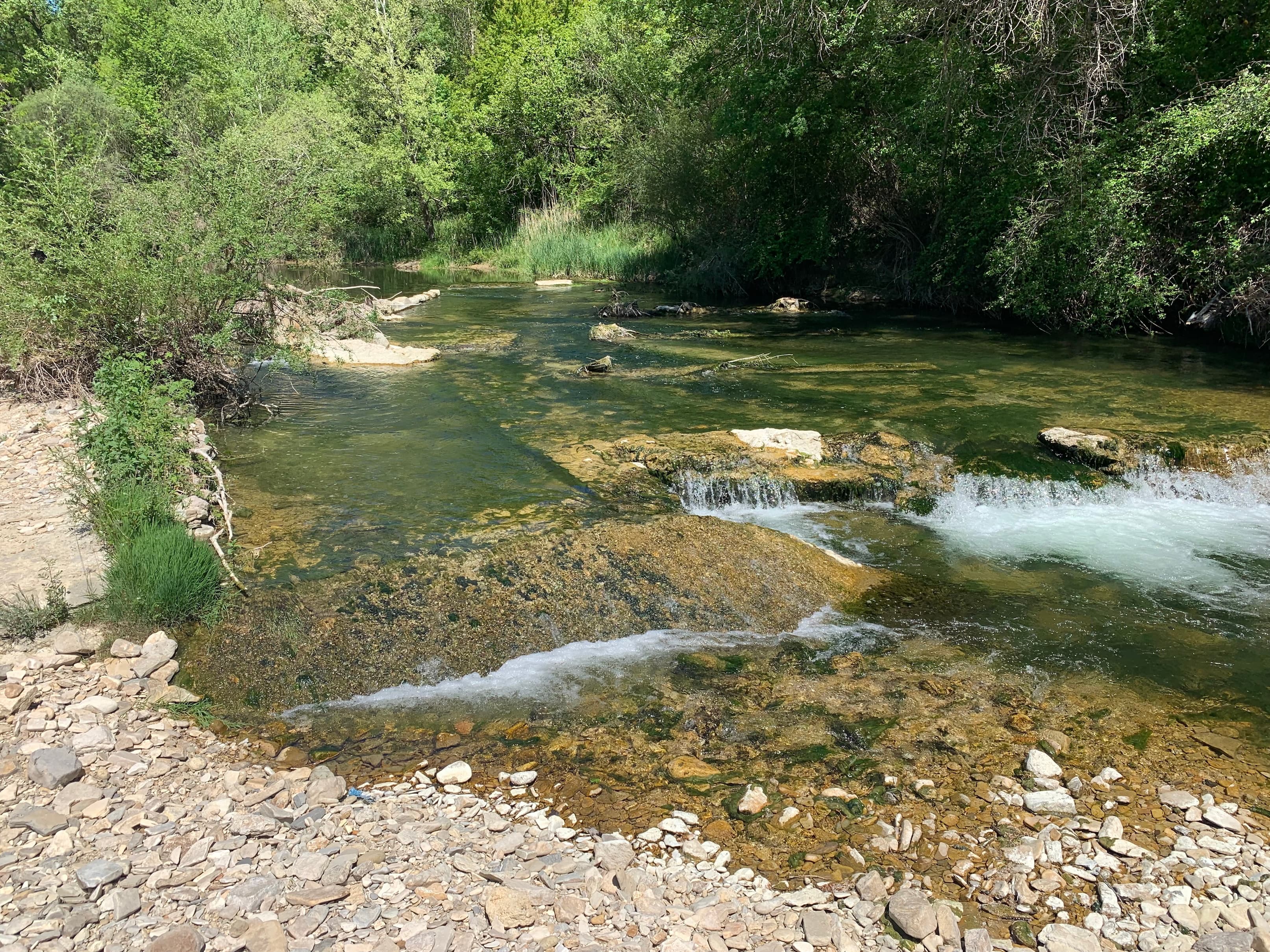 A scenery from Flower Camping La Rivière