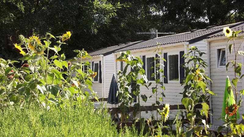 A scenery from Camping de la Trye