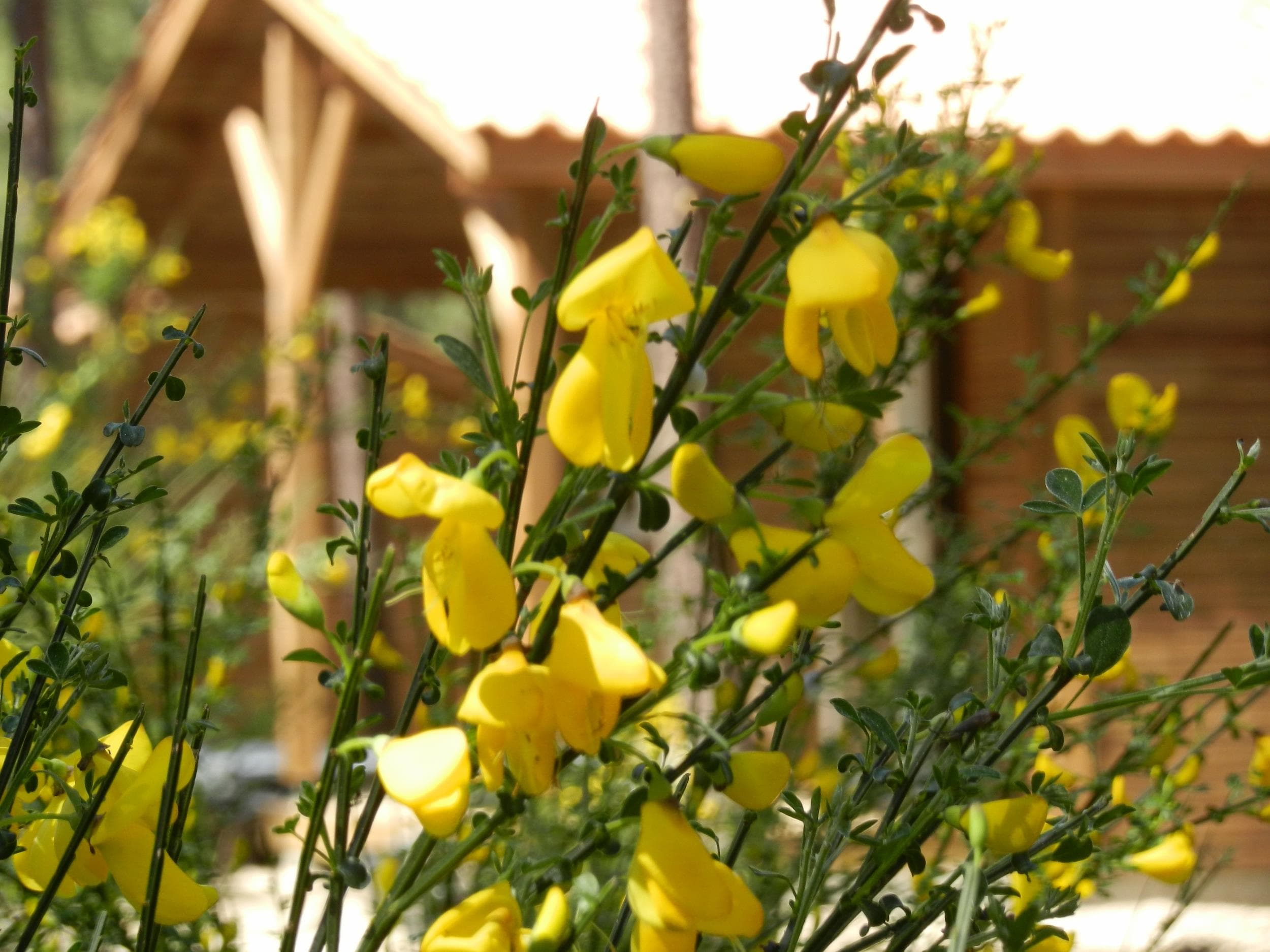 A scenery from Euronat Village Naturiste
