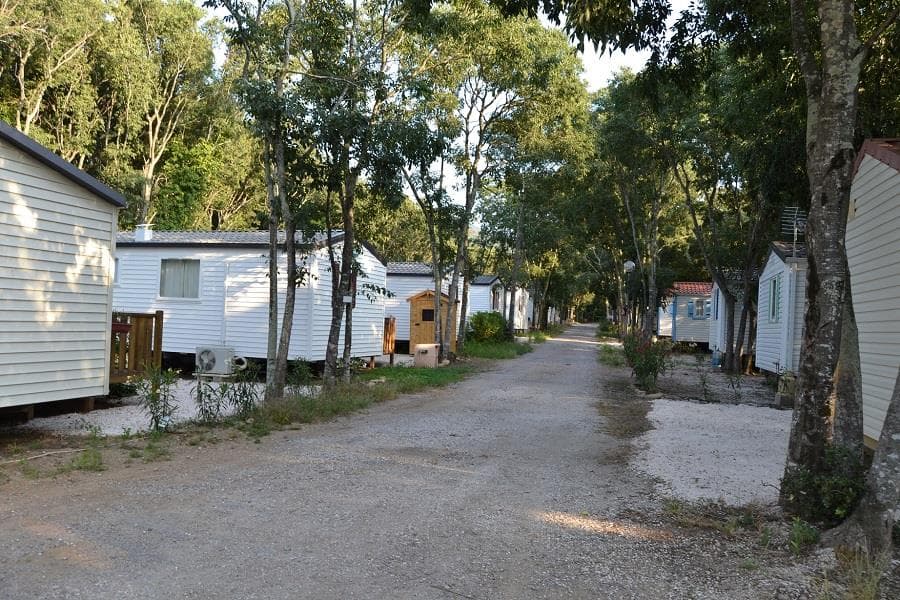 A scenery from Camping Les Micocouliers
