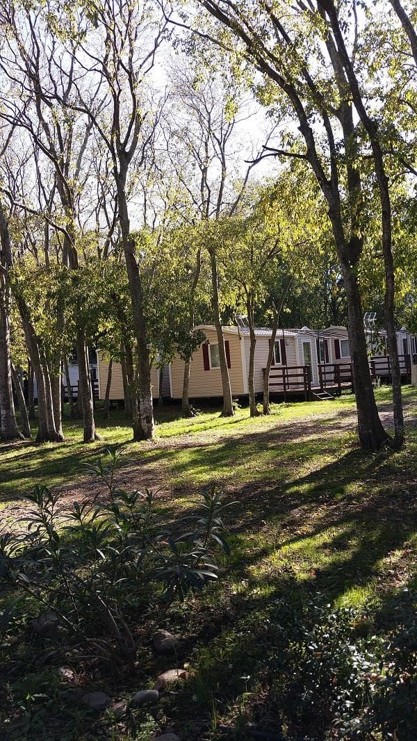 A scenery from Camping Les Micocouliers