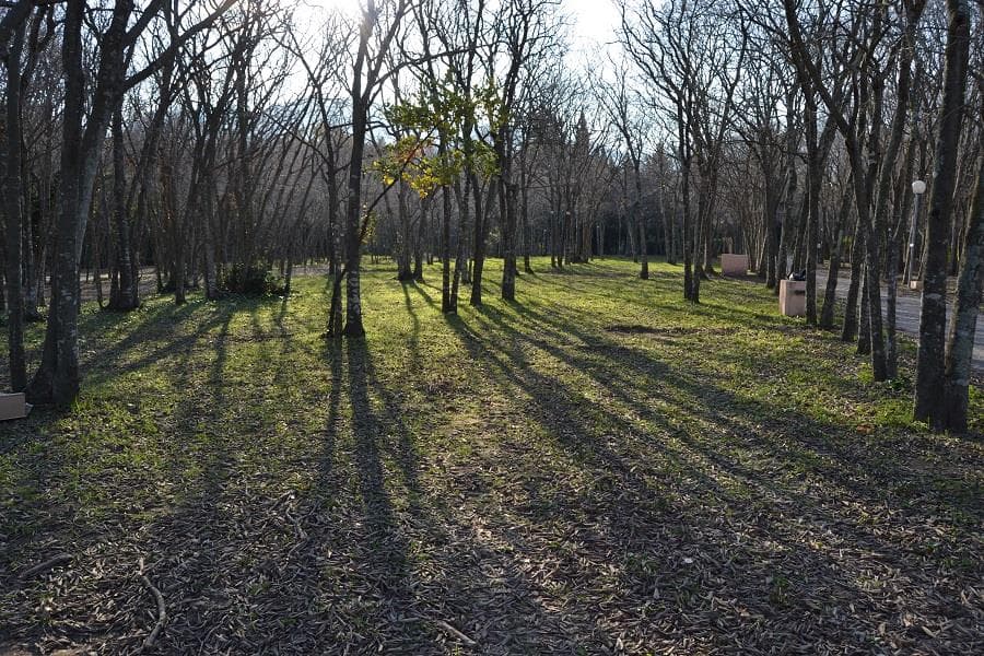 A scenery from Camping Les Micocouliers