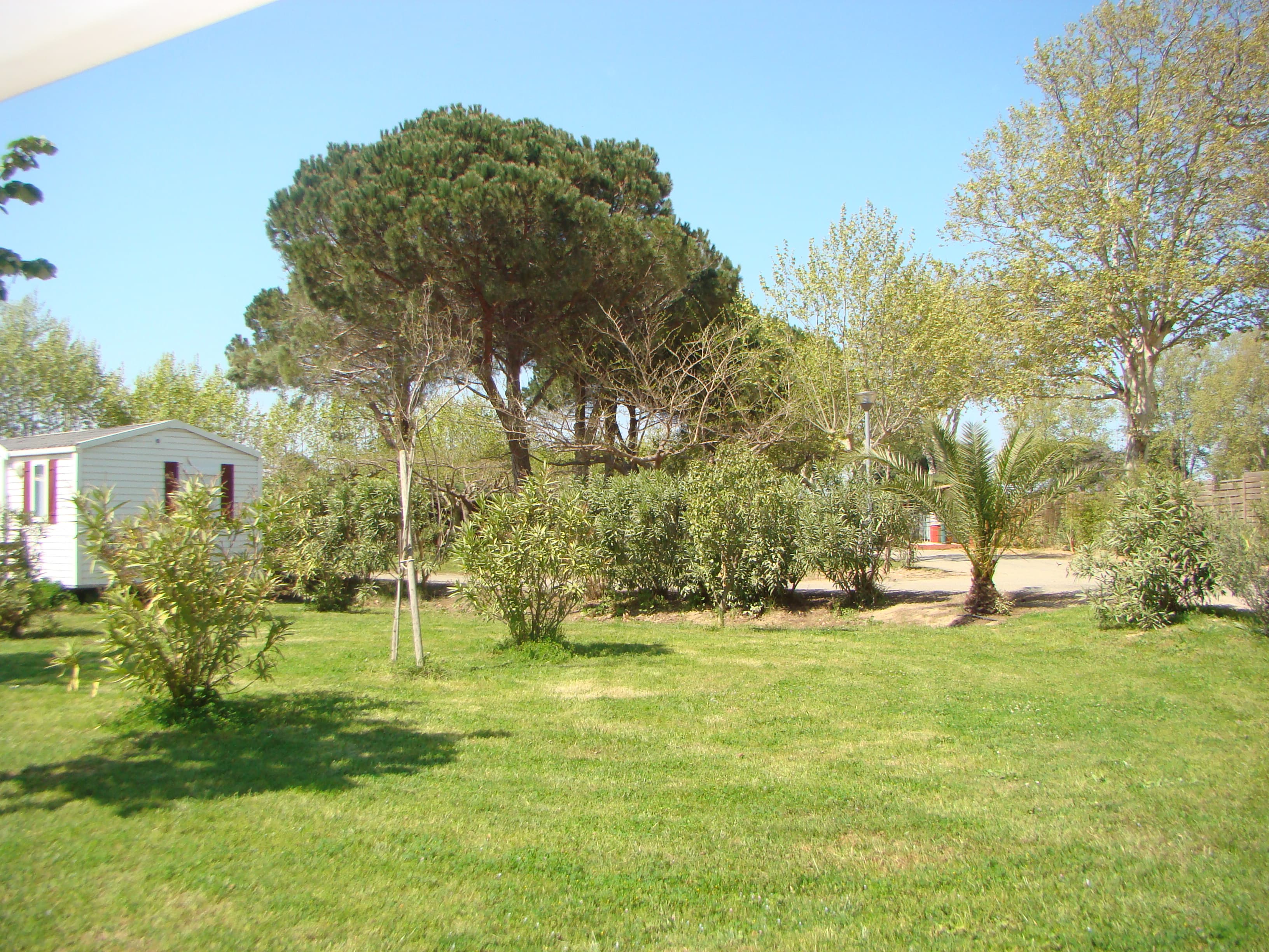 A scenery from Camping Cap Sud