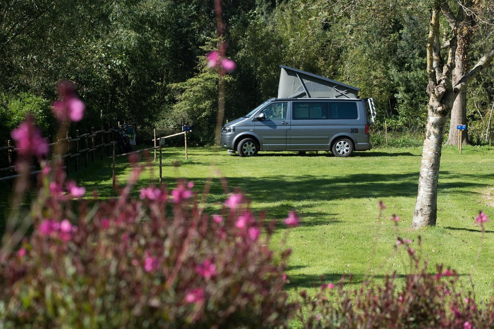 A scenery from Camping Les Nobis d'Anjou