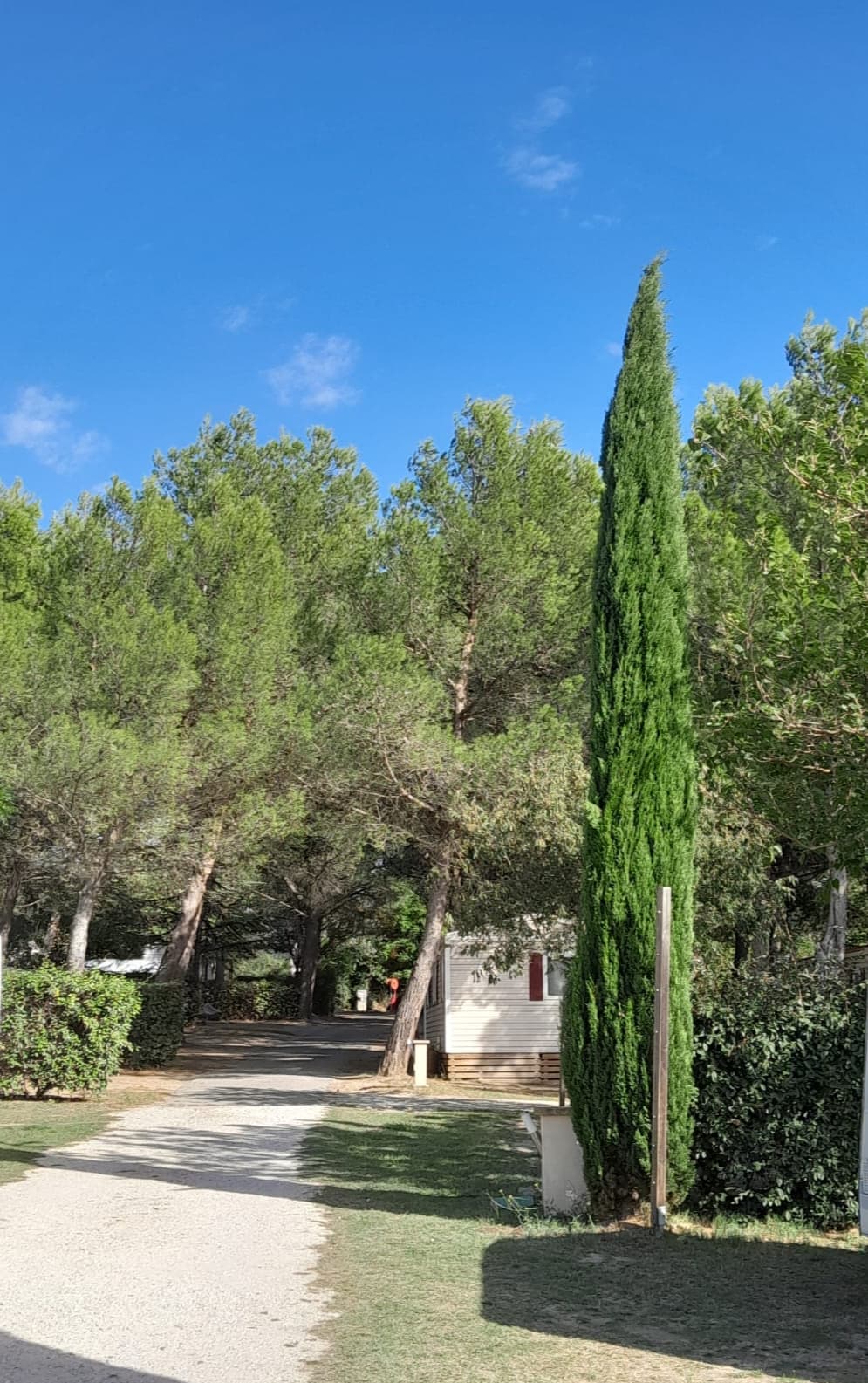 A scenery from Camping Fontisson