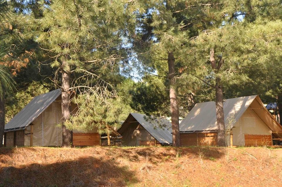 A scenery from Camping OLVA LES EUCALYPTUS
