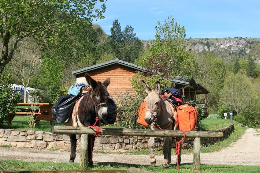 A scenery from Camping La Cascade