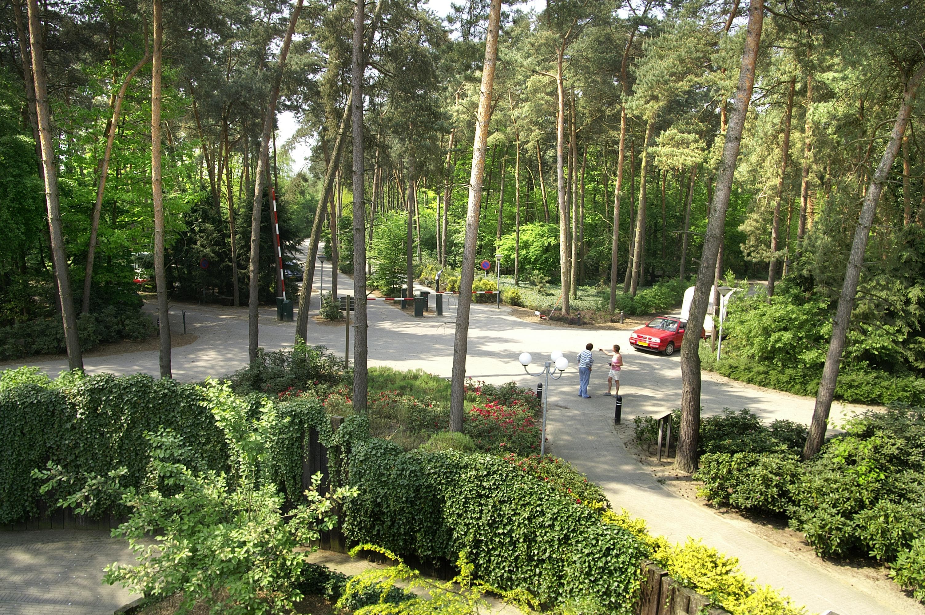 A scenery from Camping de Paal