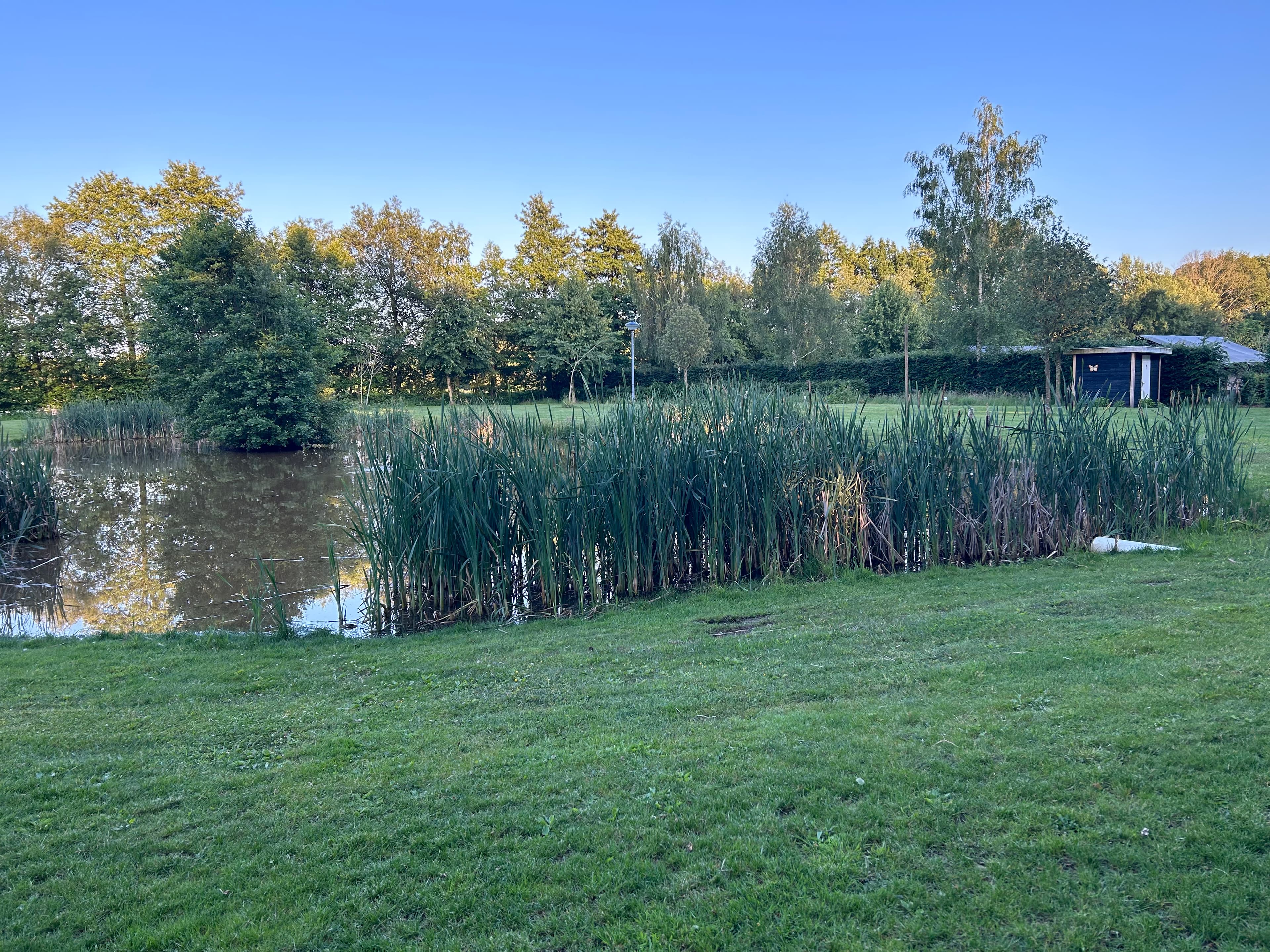 A scenery from Camping Emmen