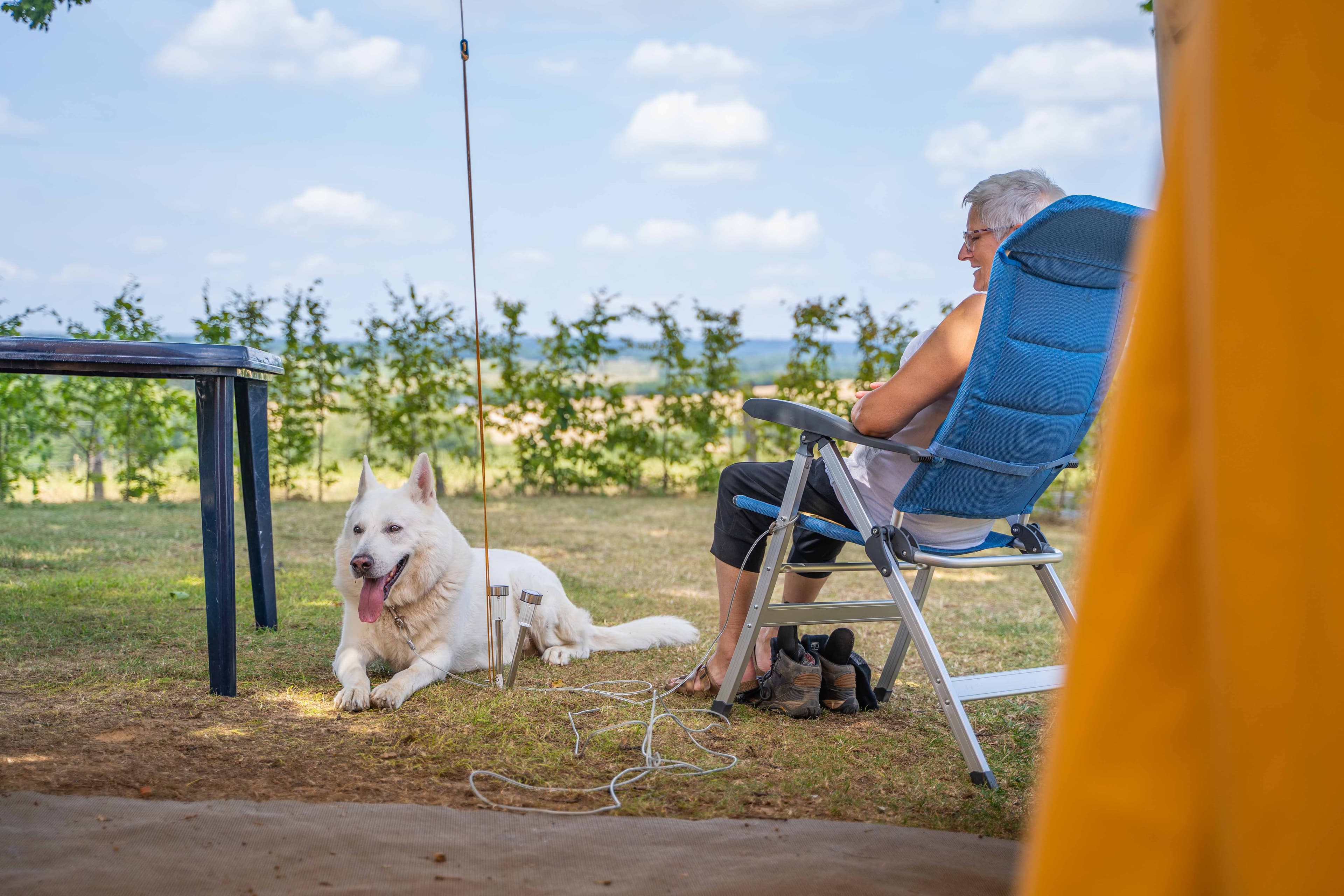 A scenery from Camping Hohenbusch