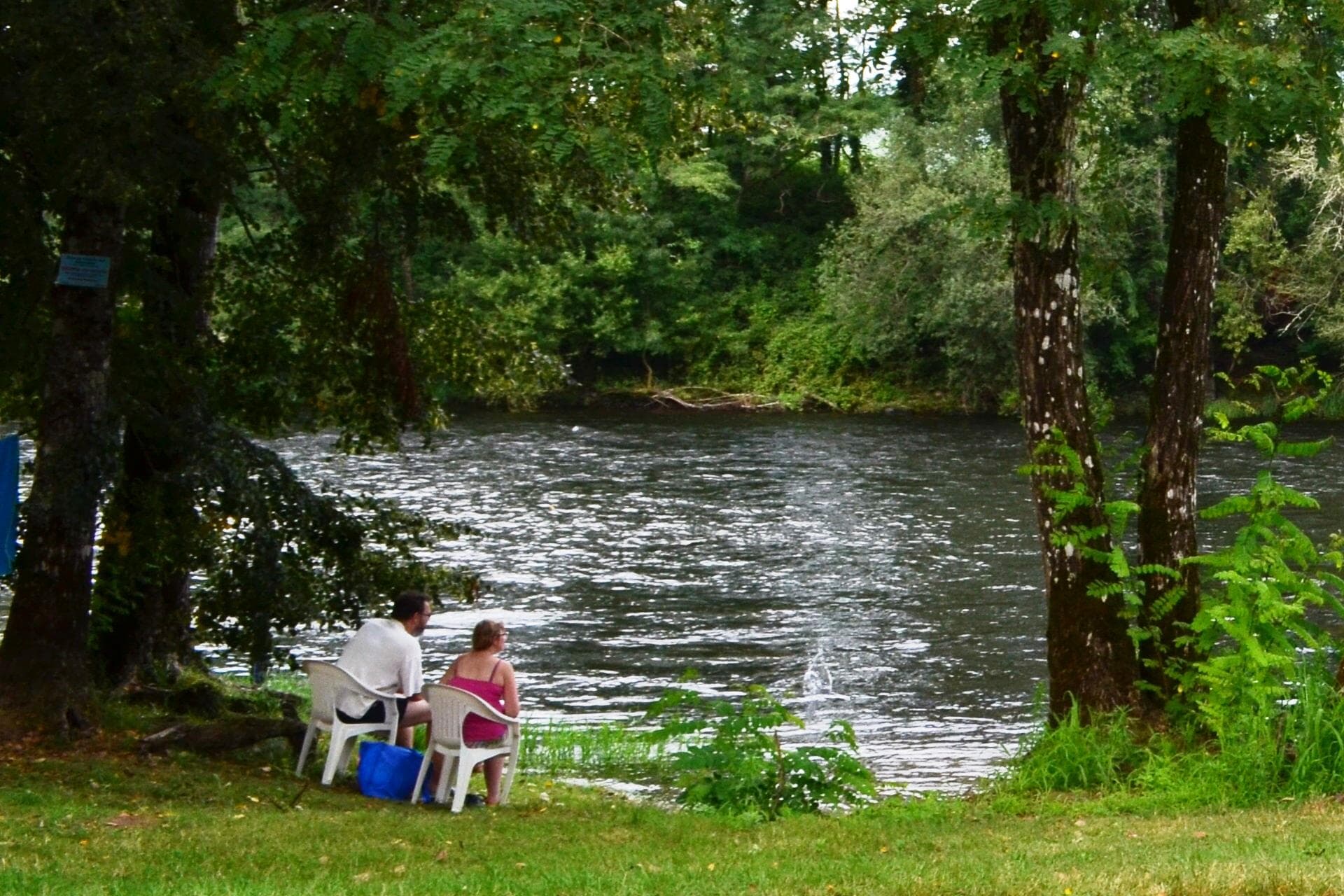 A scenery from Flower Camping l'Echo du Malpas