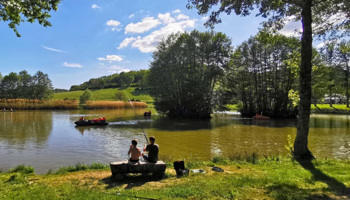 A scenery from Camping Du Bois De Reveuge