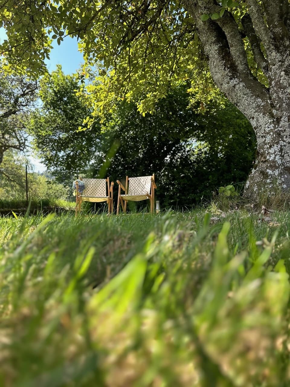 A scenery from Camping Natur'Camp