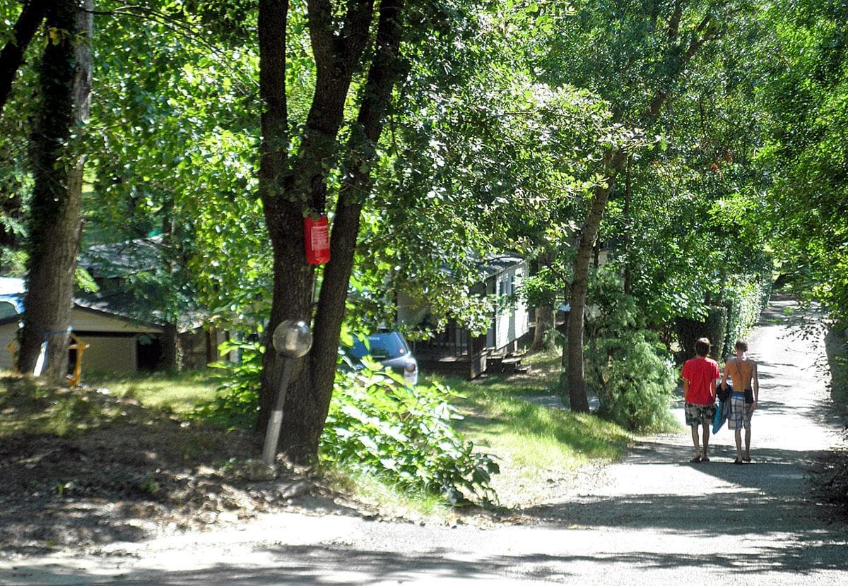 A scenery from Flower CAMPING LES FAUVETTES