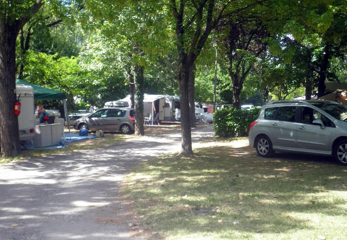 A scenery from Flower CAMPING LES FAUVETTES