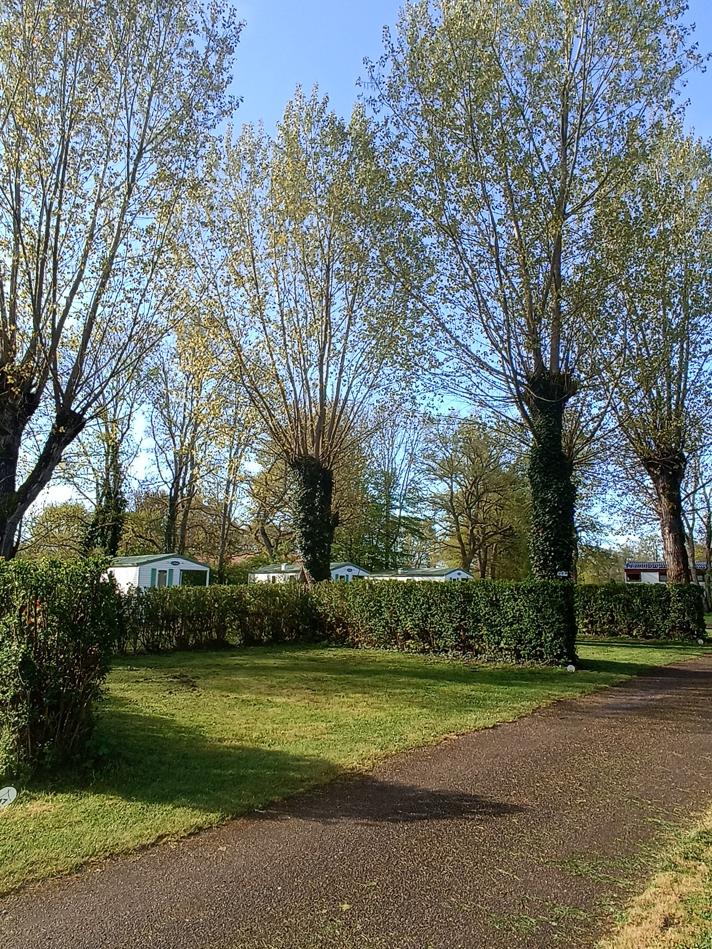 A scenery from Camping du Pont Vert