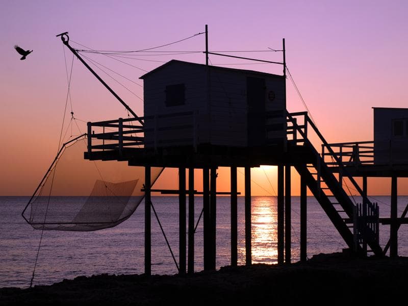 A scenery from Camping Homair - Les Catalpas de Royan