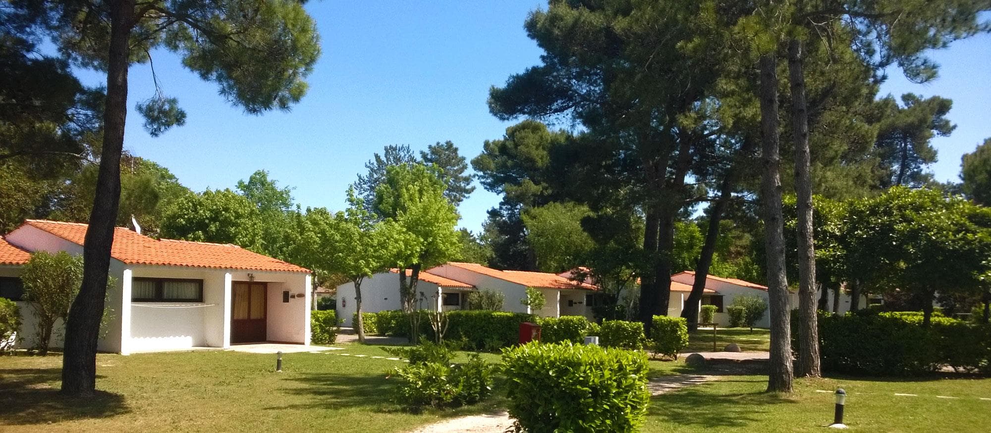 A scenery from Residence Punta Spin