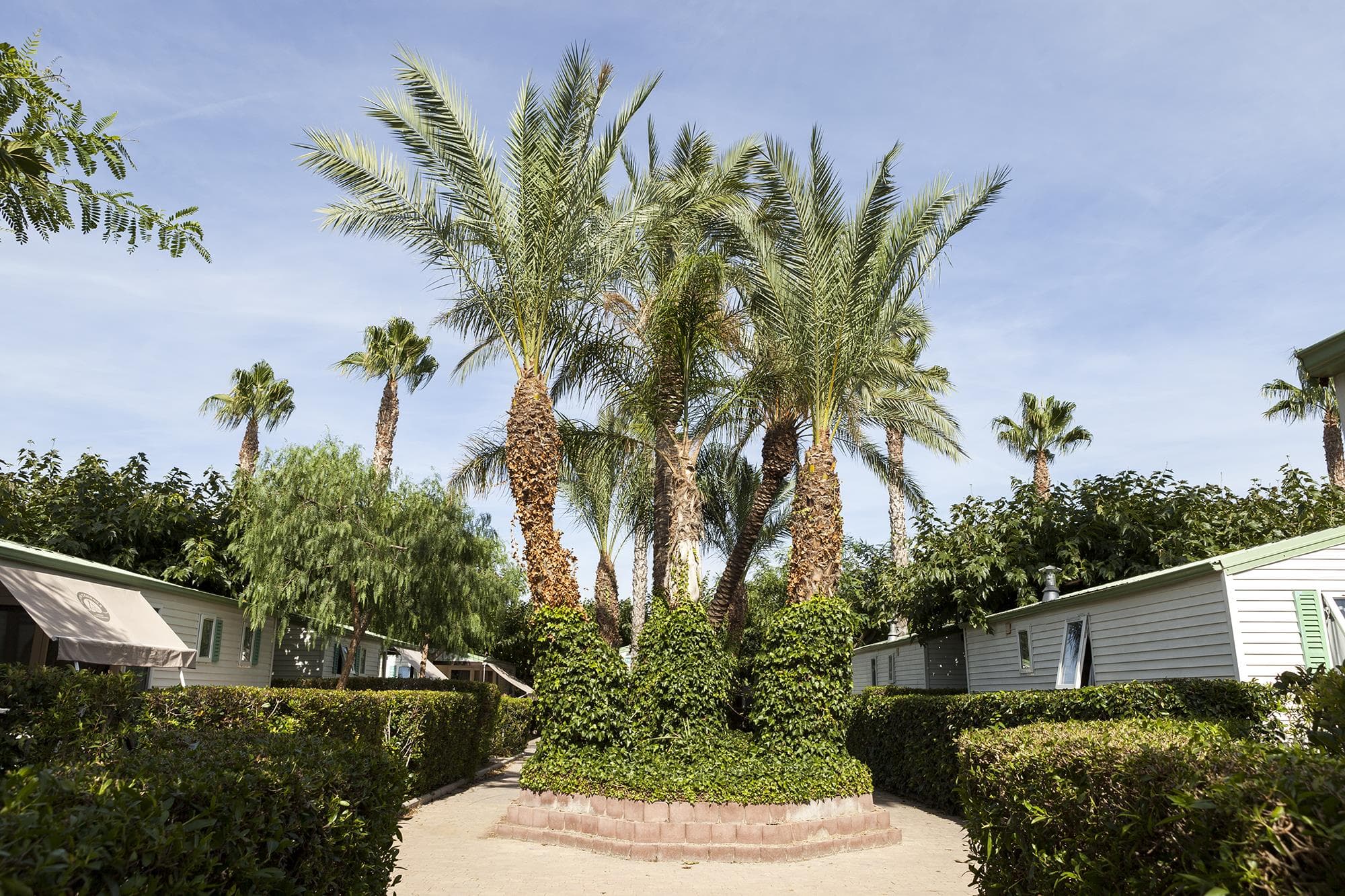 A scenery from Camping Platja Cambrils