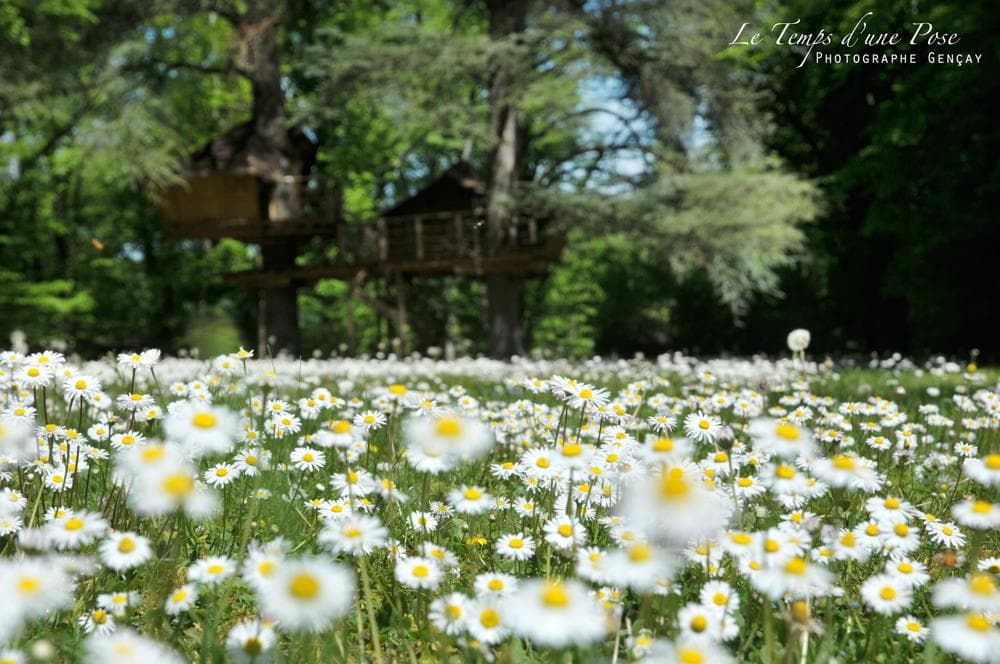 A scenery from Le Parc de la Belle