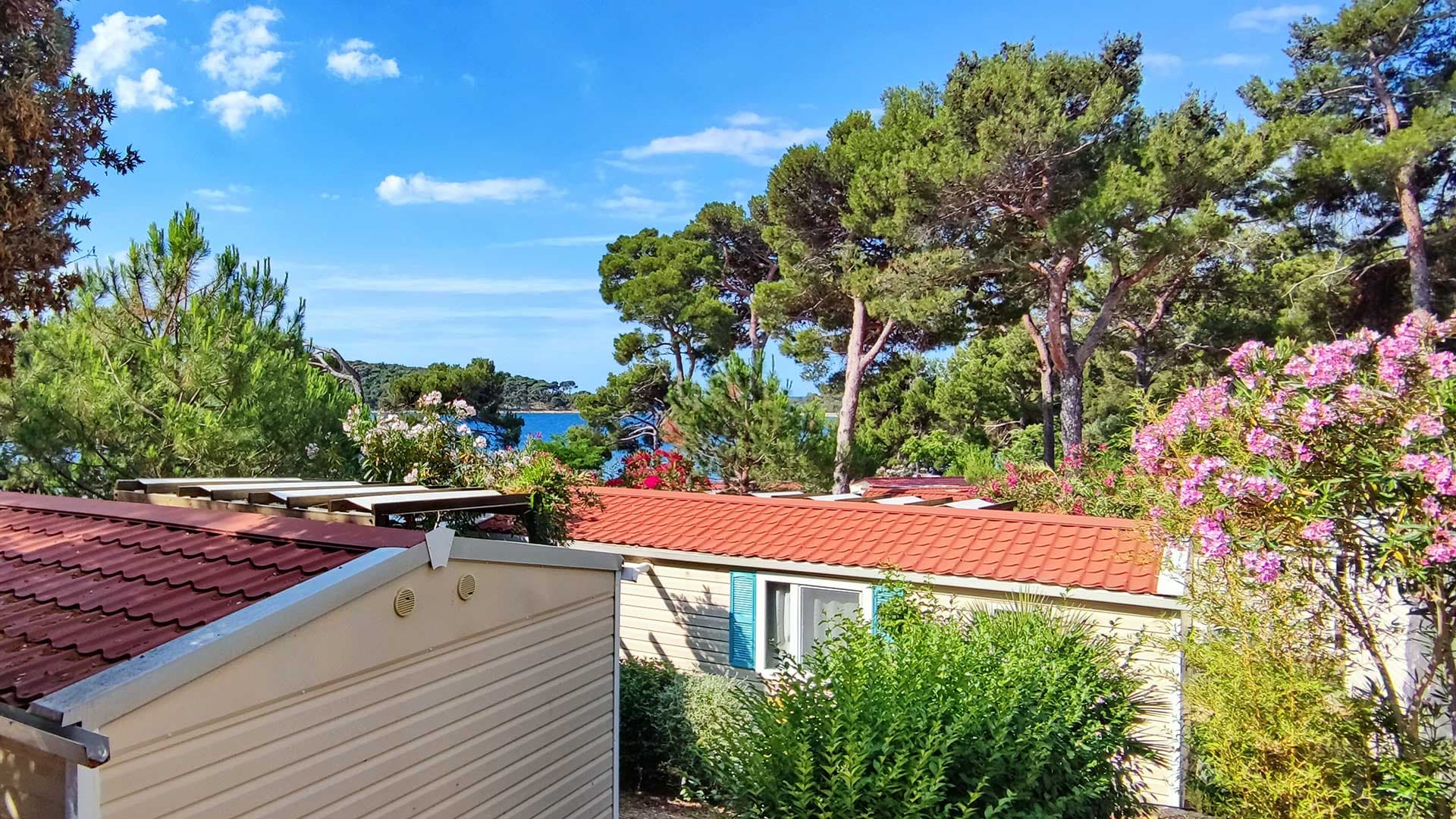 A scenery from Baia Holiday Poljana