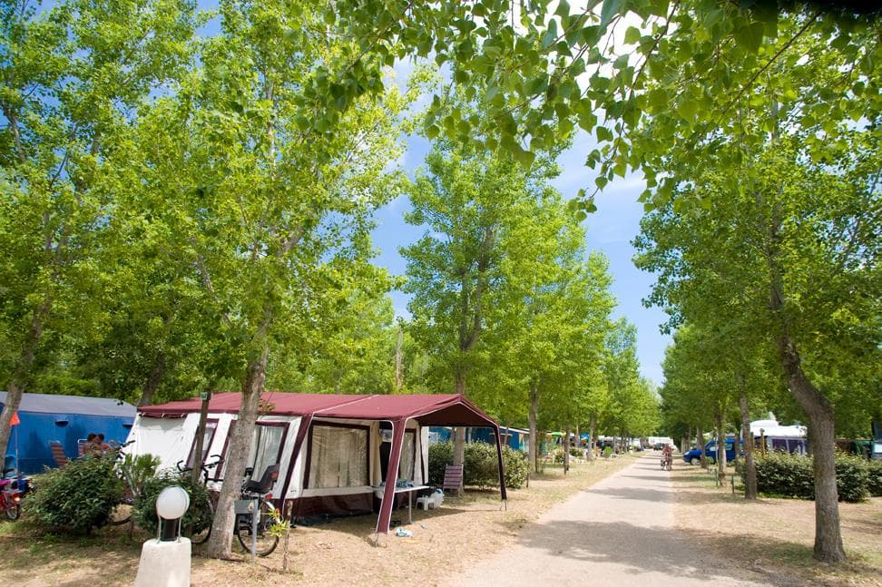 A scenery from Camping Marvilla Parks - Domaine La Yole