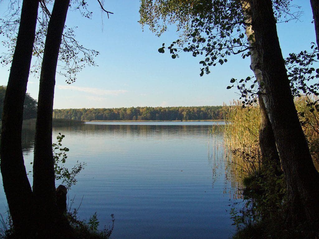 A scenery from FKK Campingplatz am Rätzsee