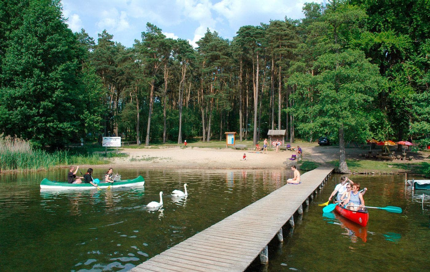 A scenery from Campingplatz am Leppinsee