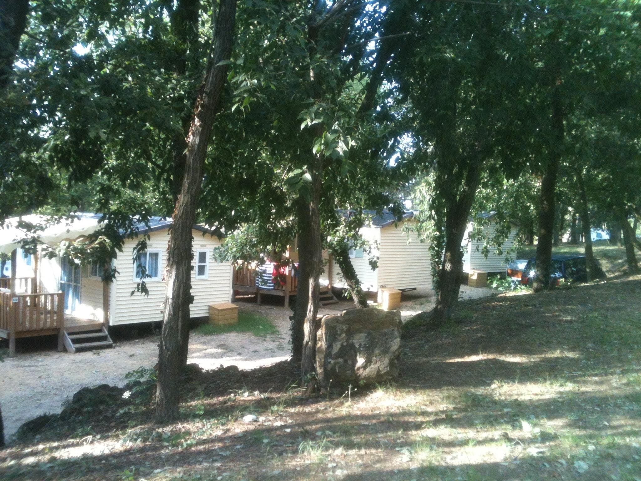A scenery from Camping La Pinède en Provence