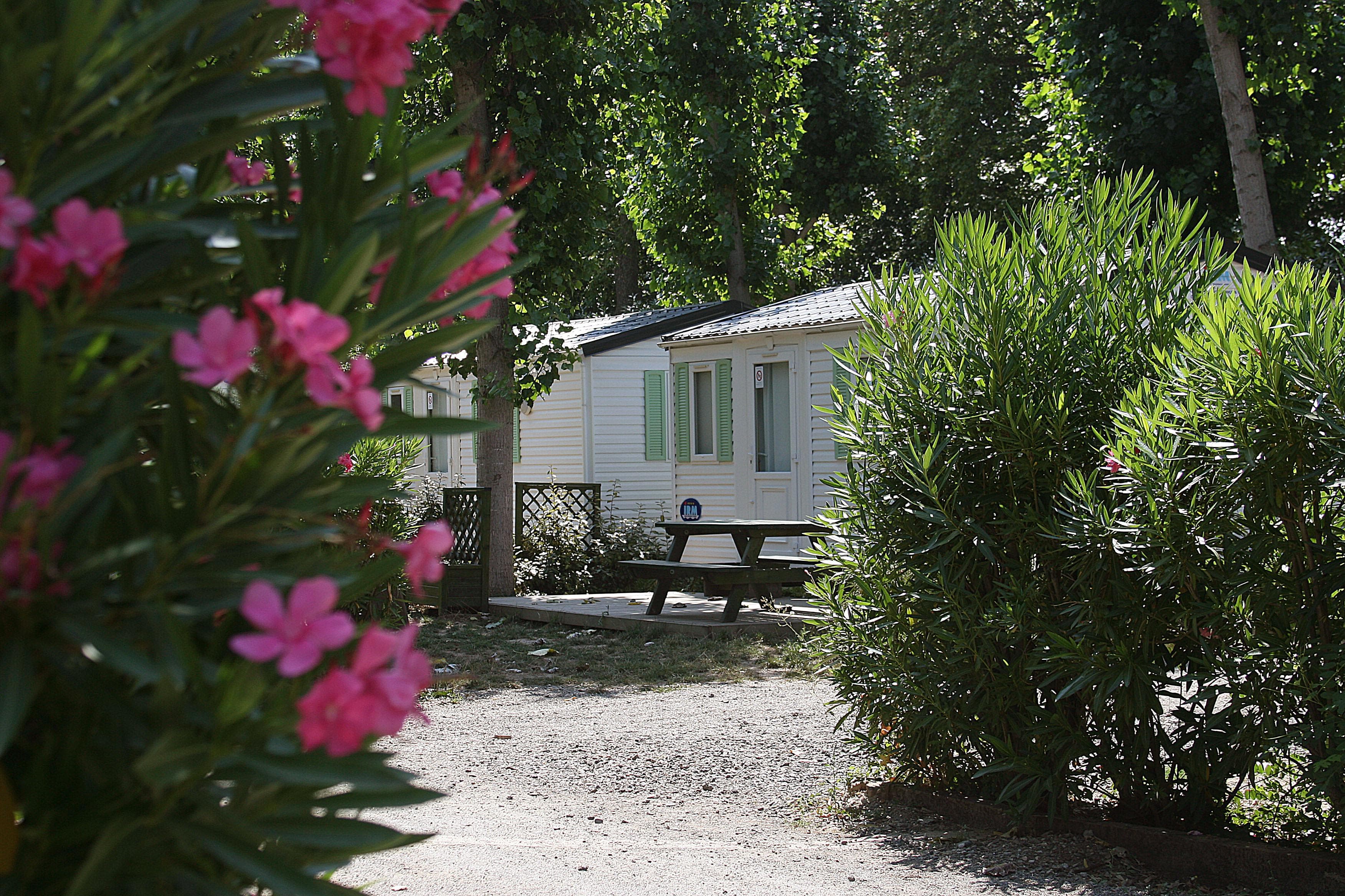 A scenery from Camping les Berges du Canal
