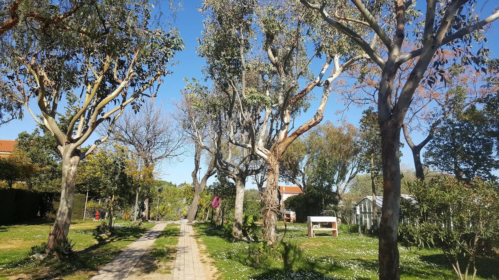 A scenery from Camping Bella Vista