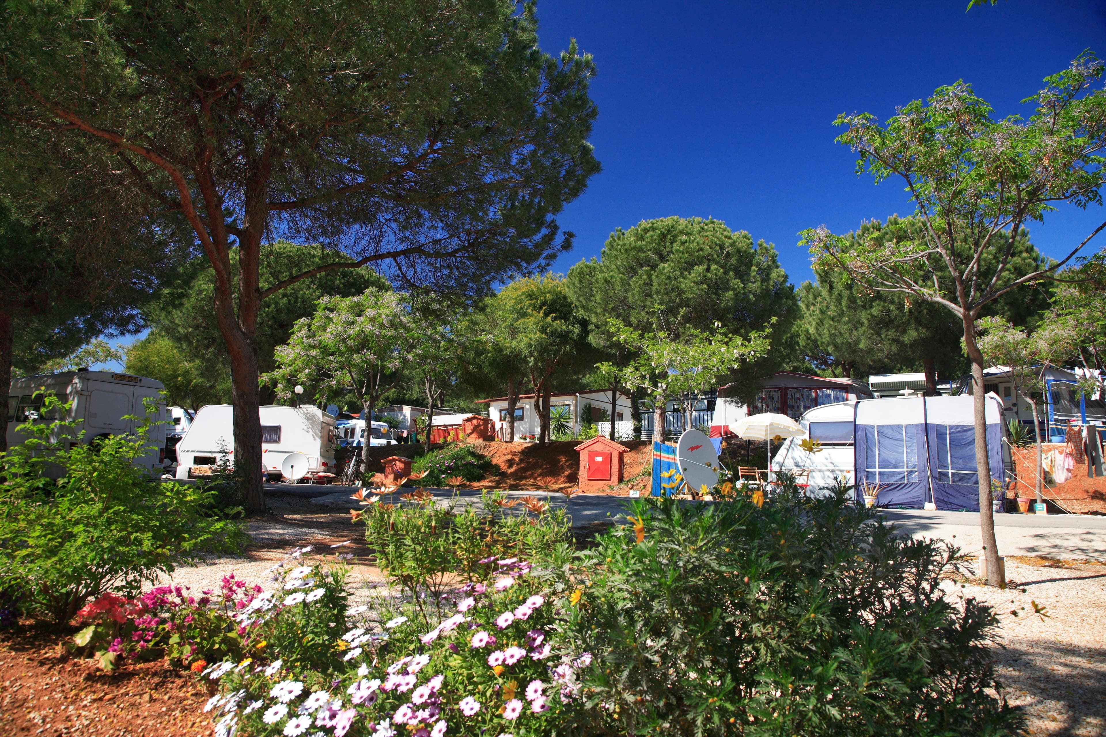 A scenery from Camping Cabopino