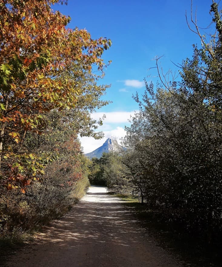 A scenery from Camping Etxarri
