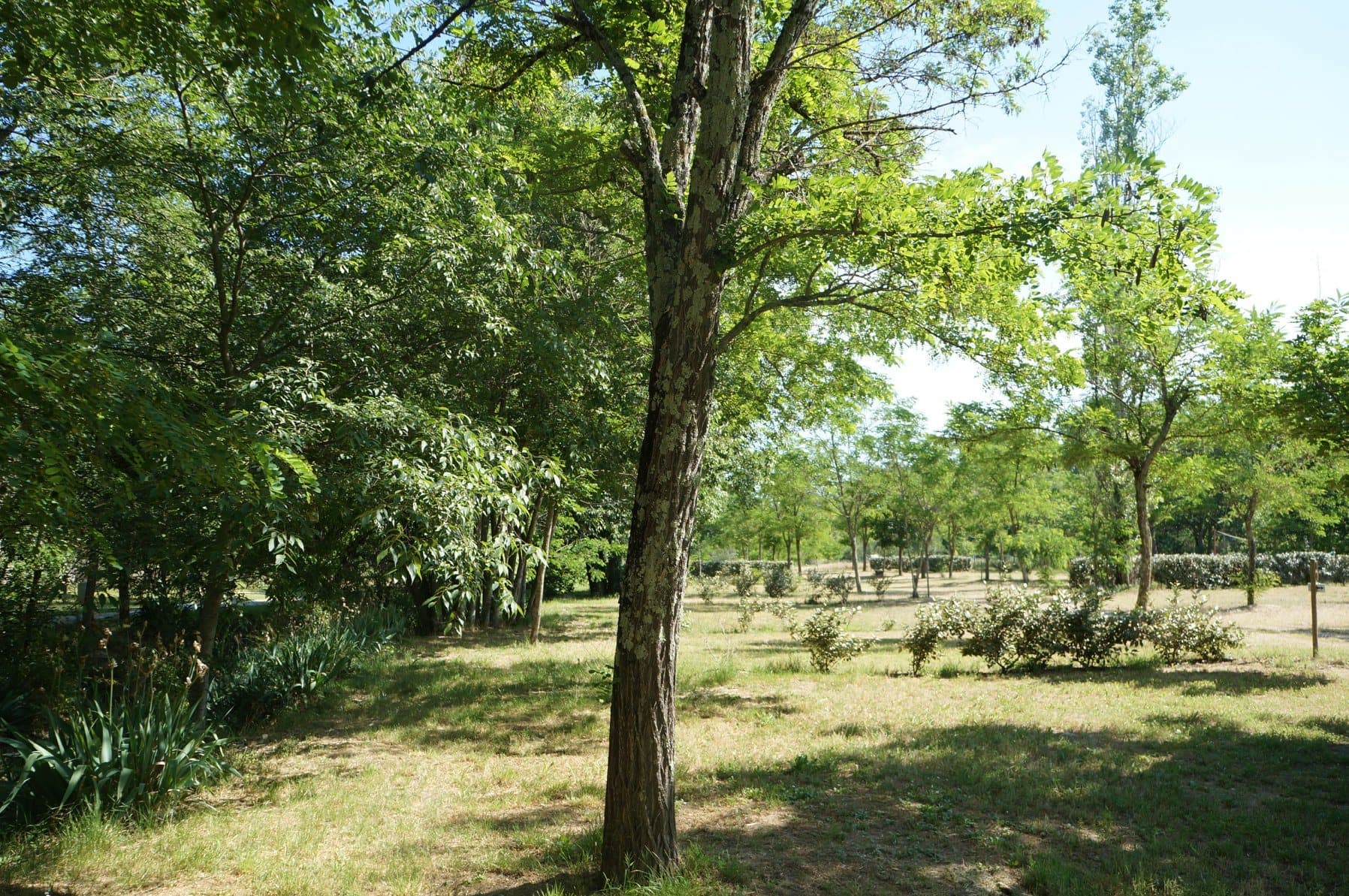 A scenery from CAMPING DE L'ARCHE