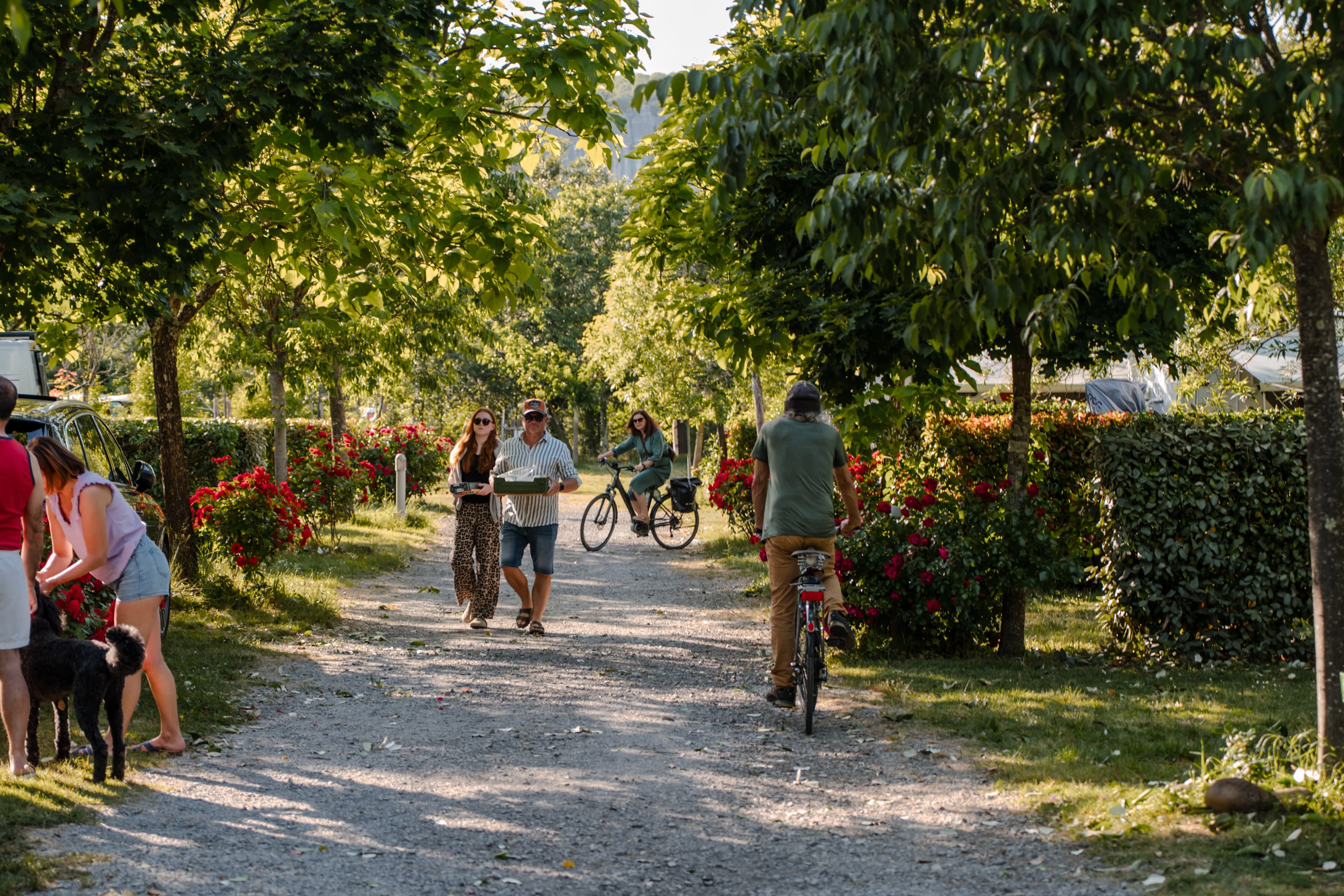 A scenery from Camping du Pont