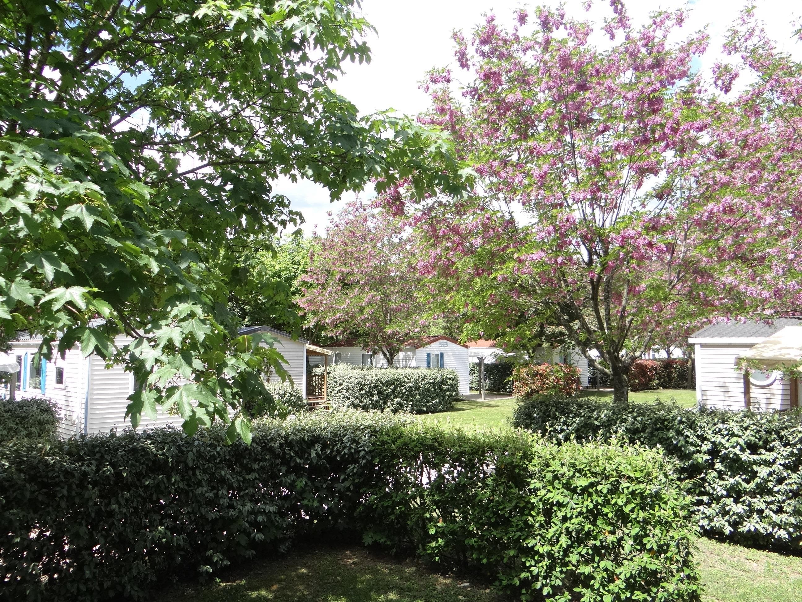 A scenery from CAMPING LES HORTENSIAS