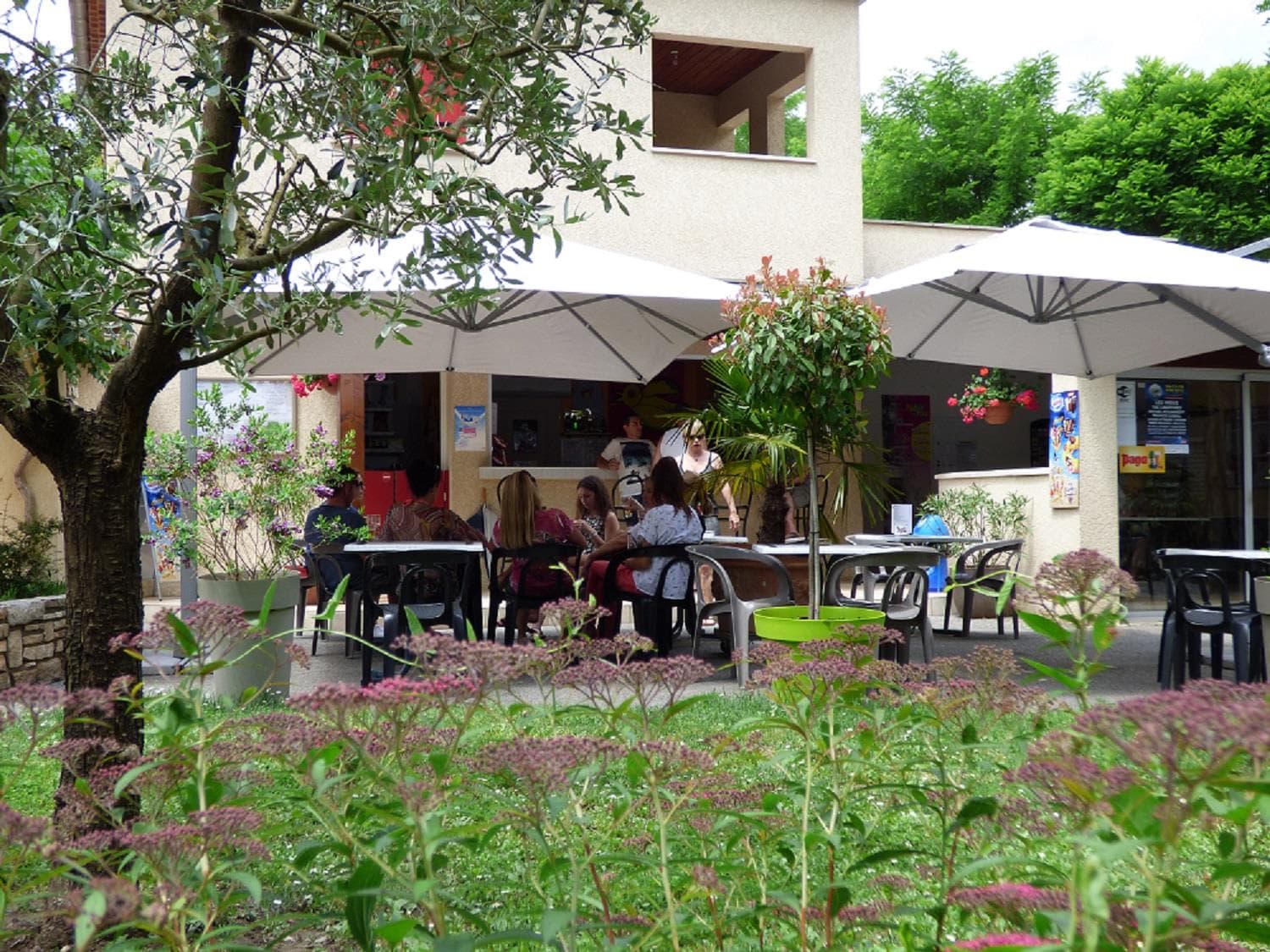 A scenery from Camping Le Clapas