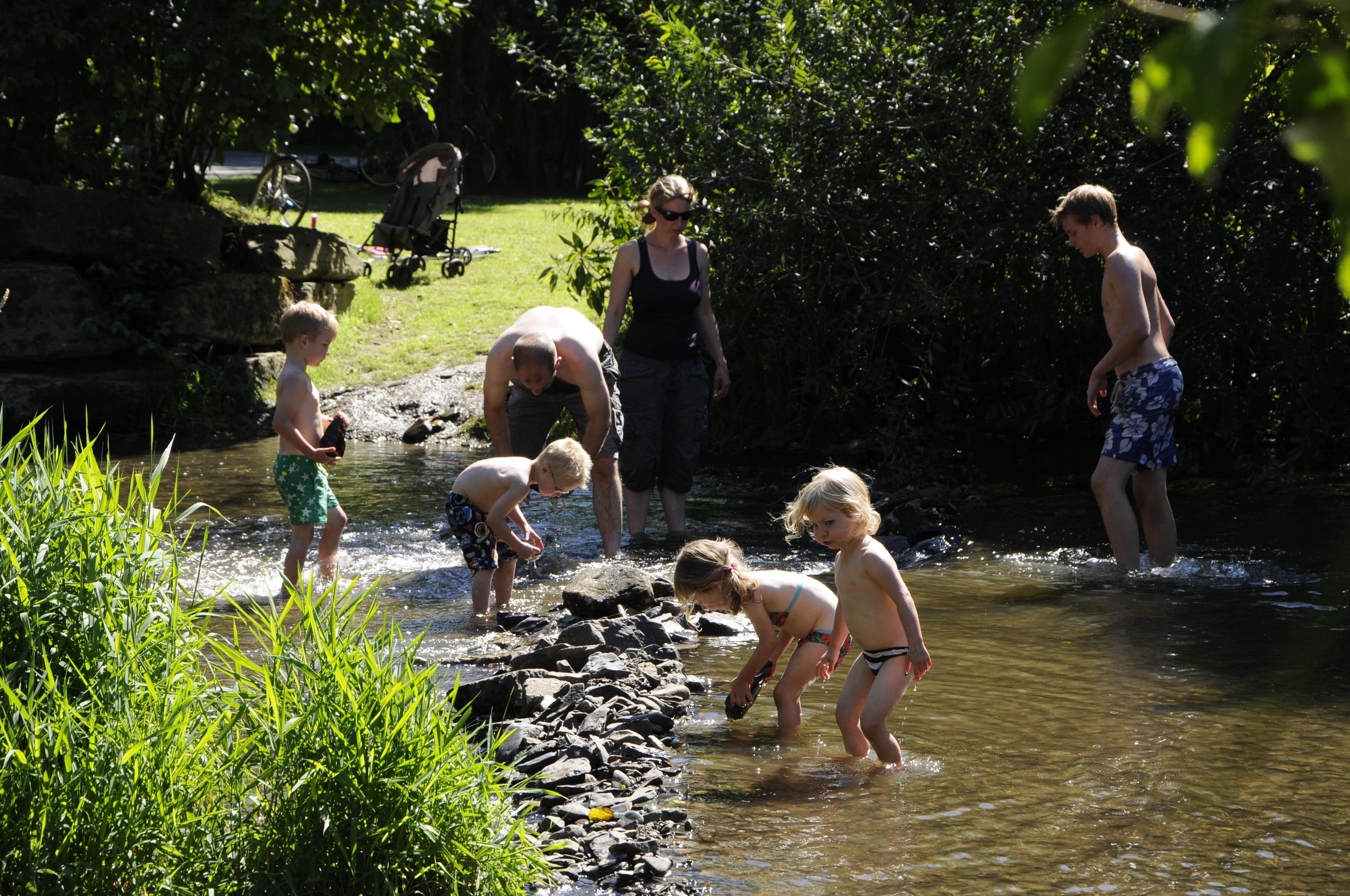 A scenery from Camping Kautenbach