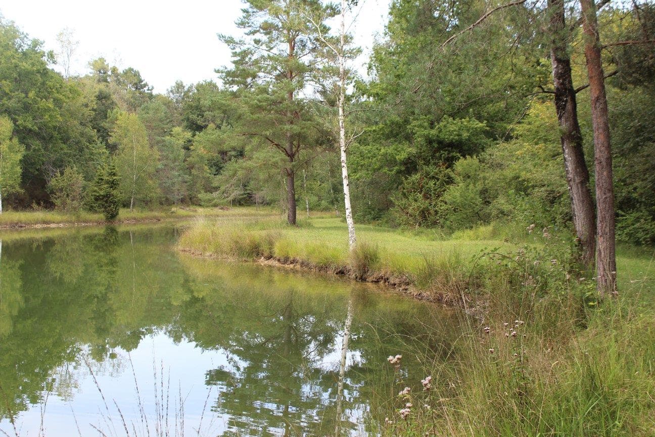 A scenery from Camping L'Étang Bleu