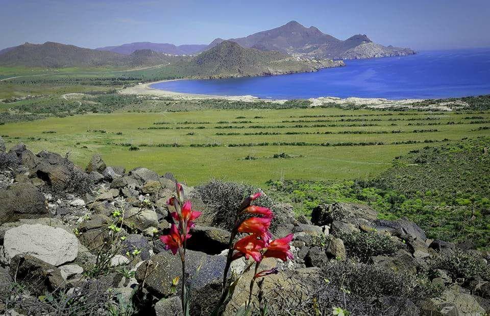 A scenery from Camping Los Escullos