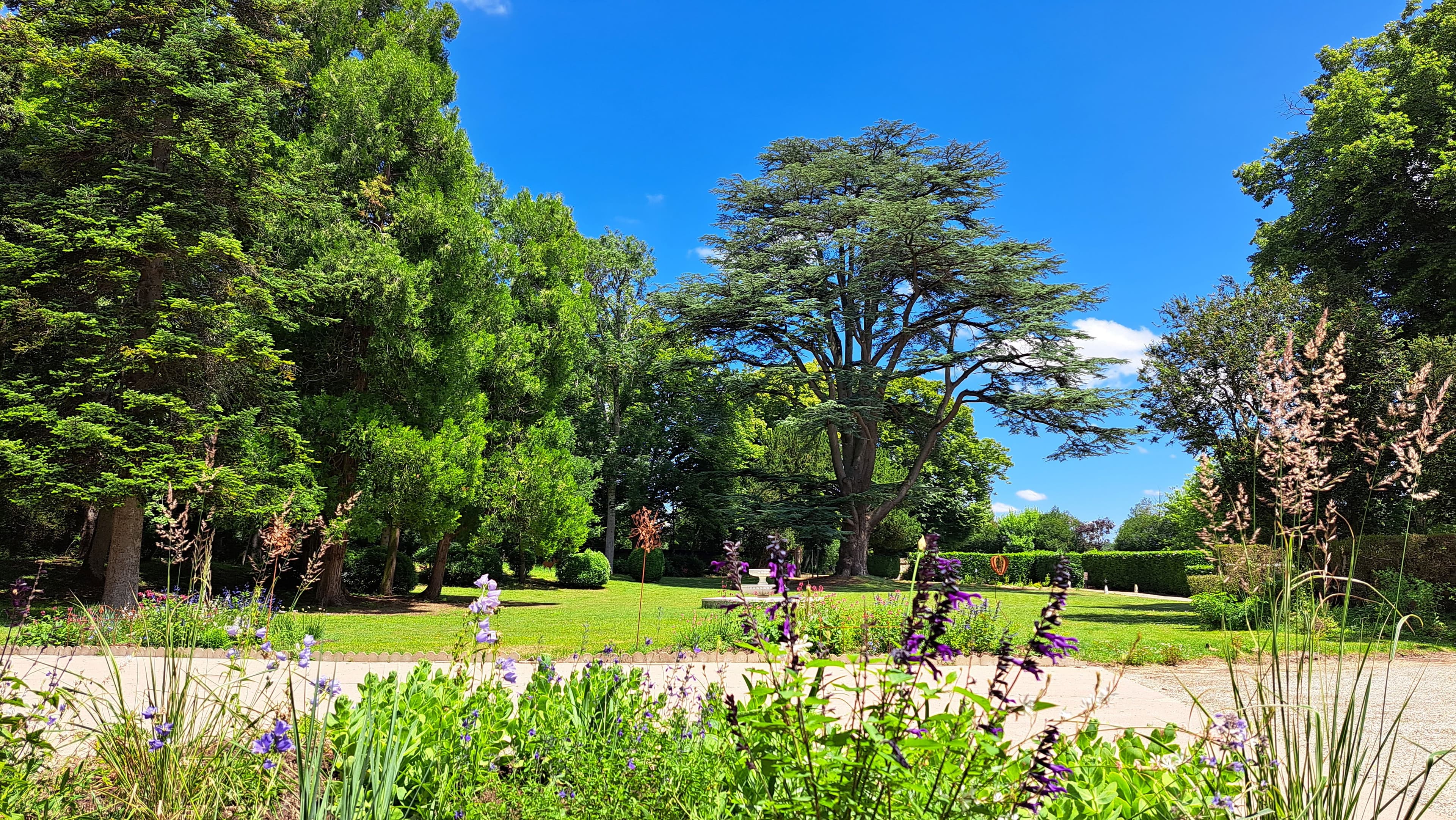 A scenery from Camping Château de la Rolandière