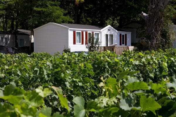 A scenery from Flower Camping Le Pressoir