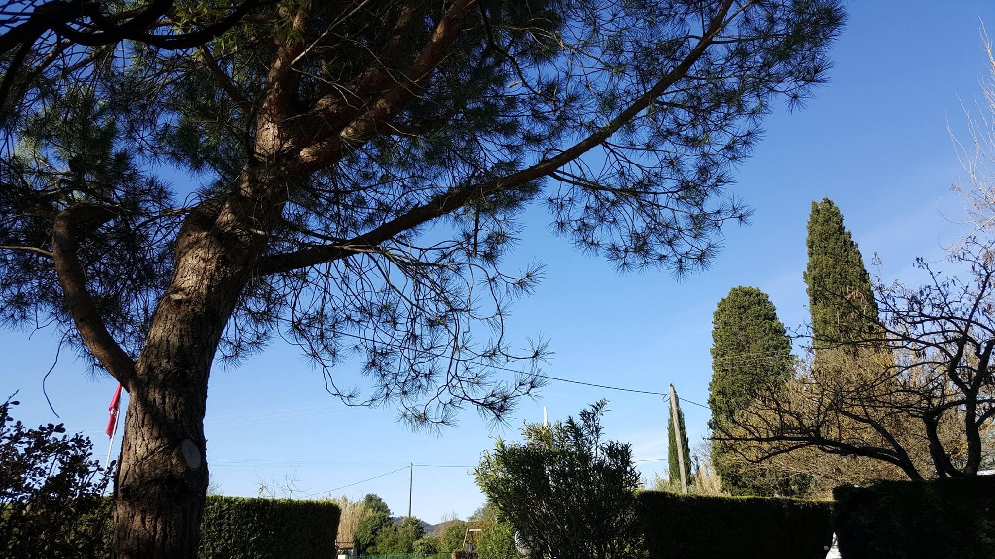 A scenery from Camping le Pontet - ARDECHE