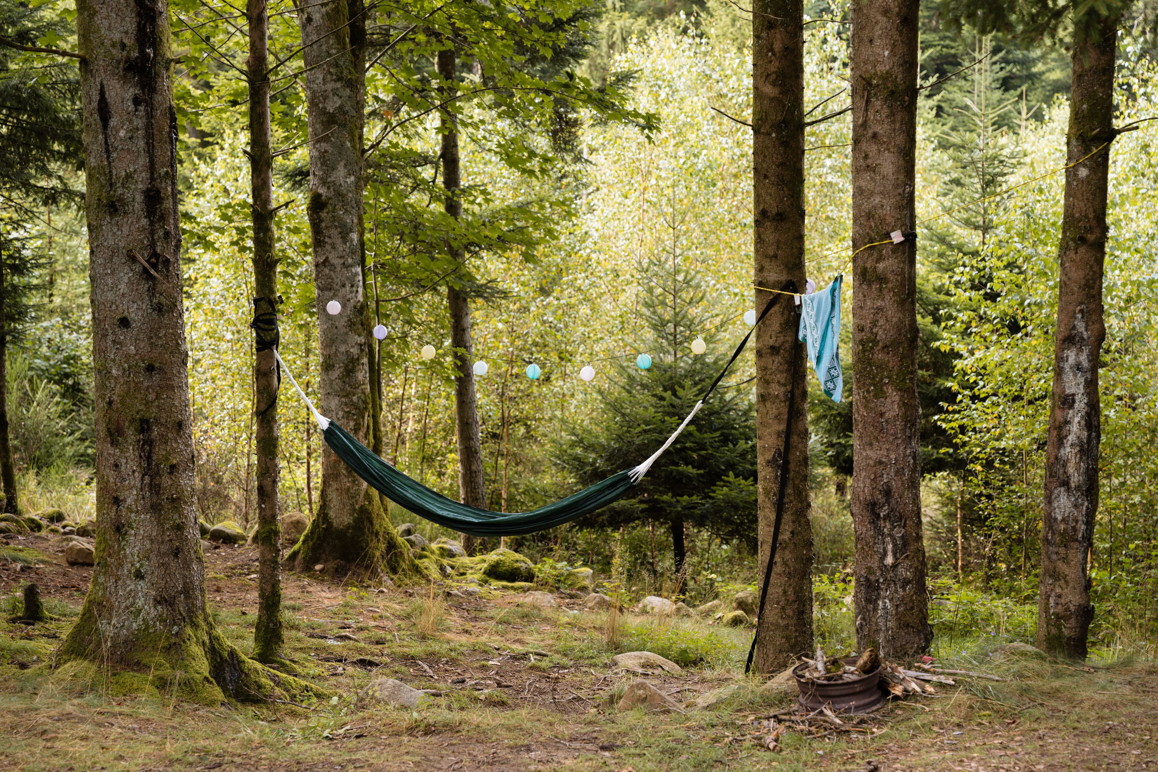 A scenery from Flower Camping LA STENIOLE