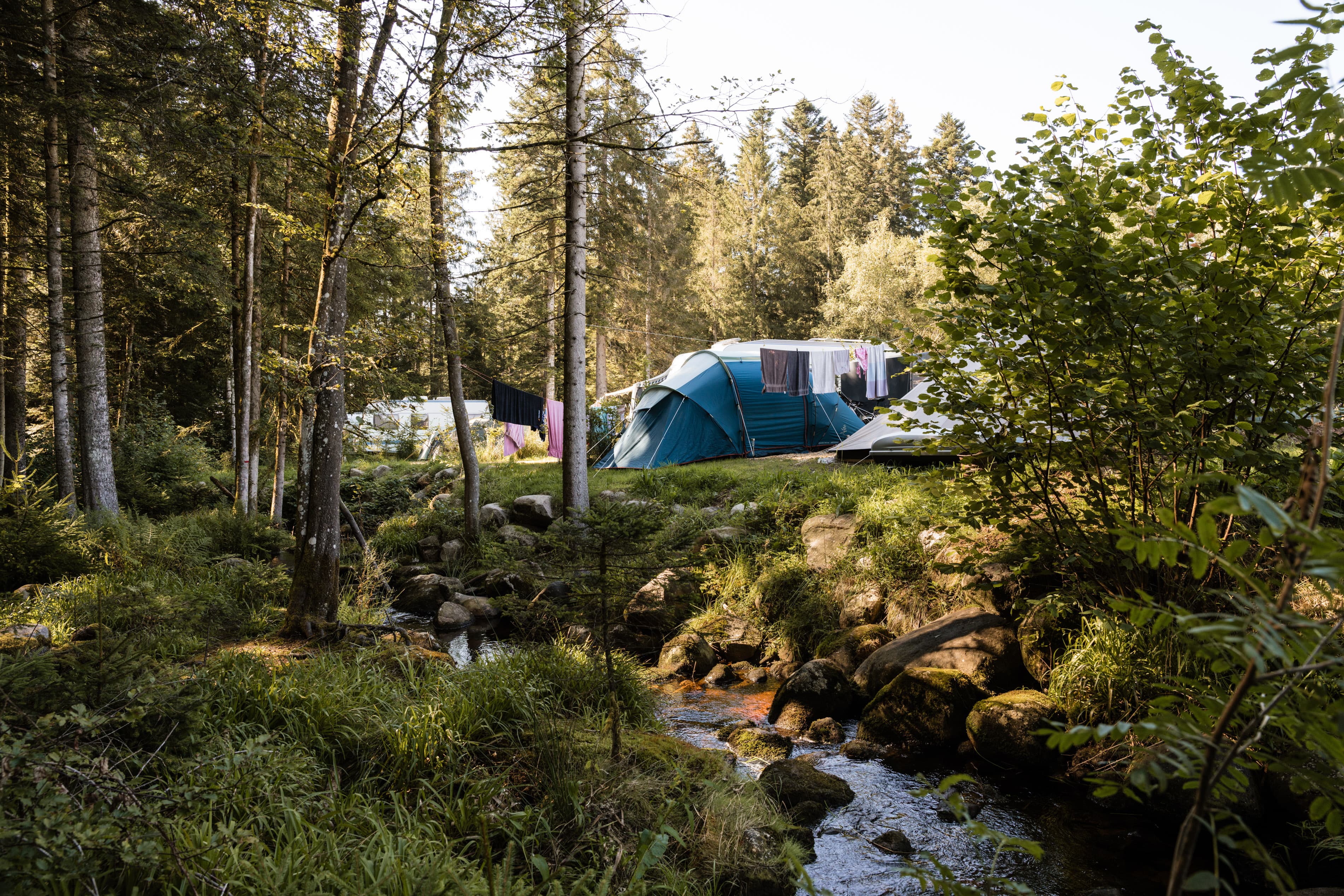 A scenery from Flower Camping LA STENIOLE