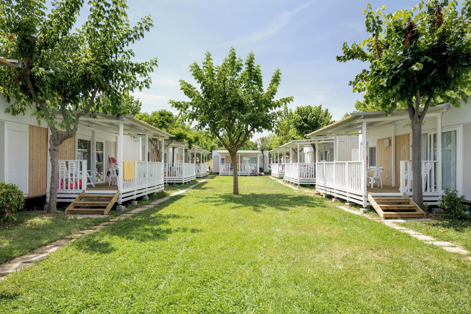 A scenery from Riva Nuova Camping Village