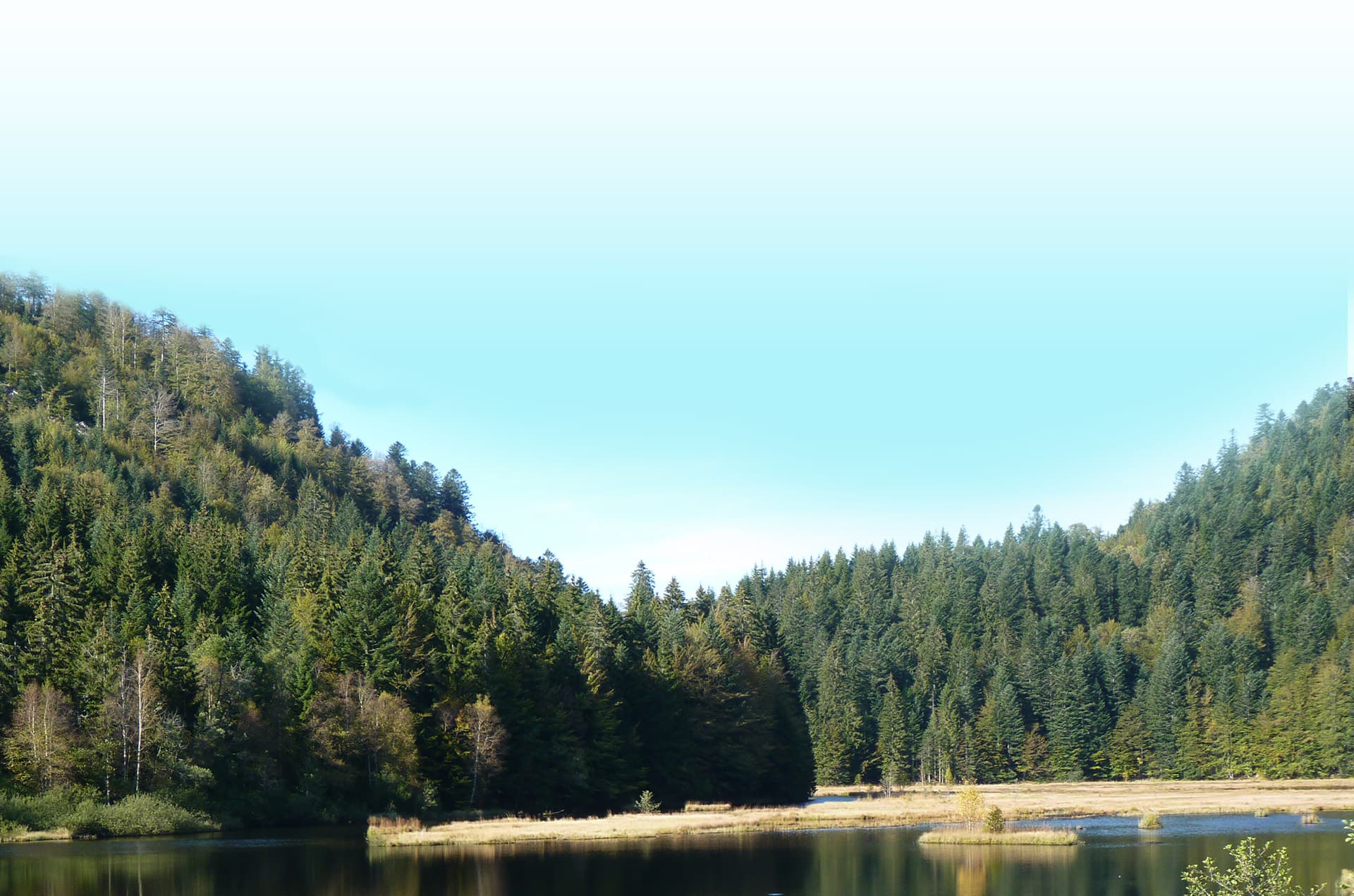 A scenery from Camping JP Vacances