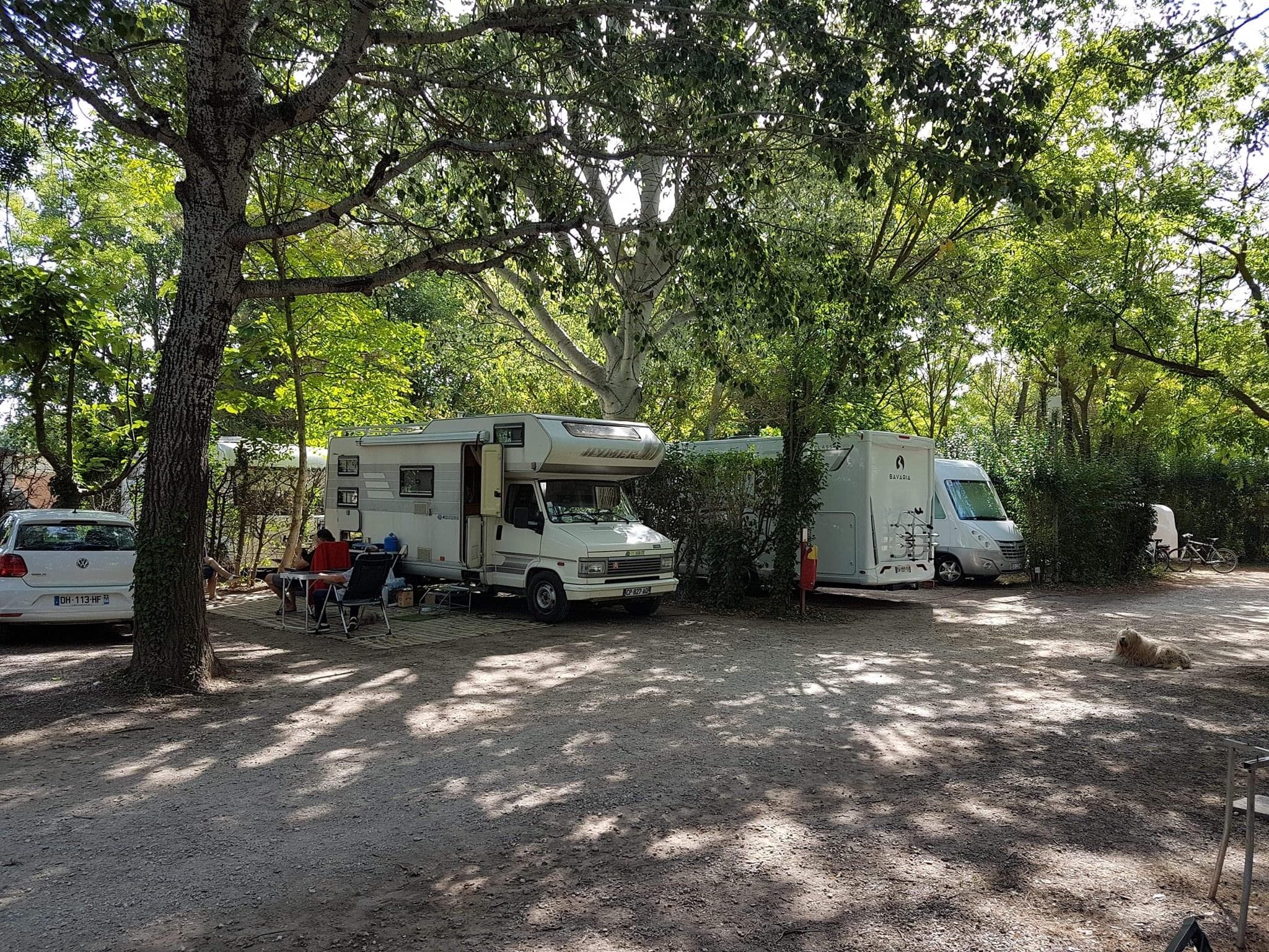 A scenery from Flower Camping le Pilon d'Agel