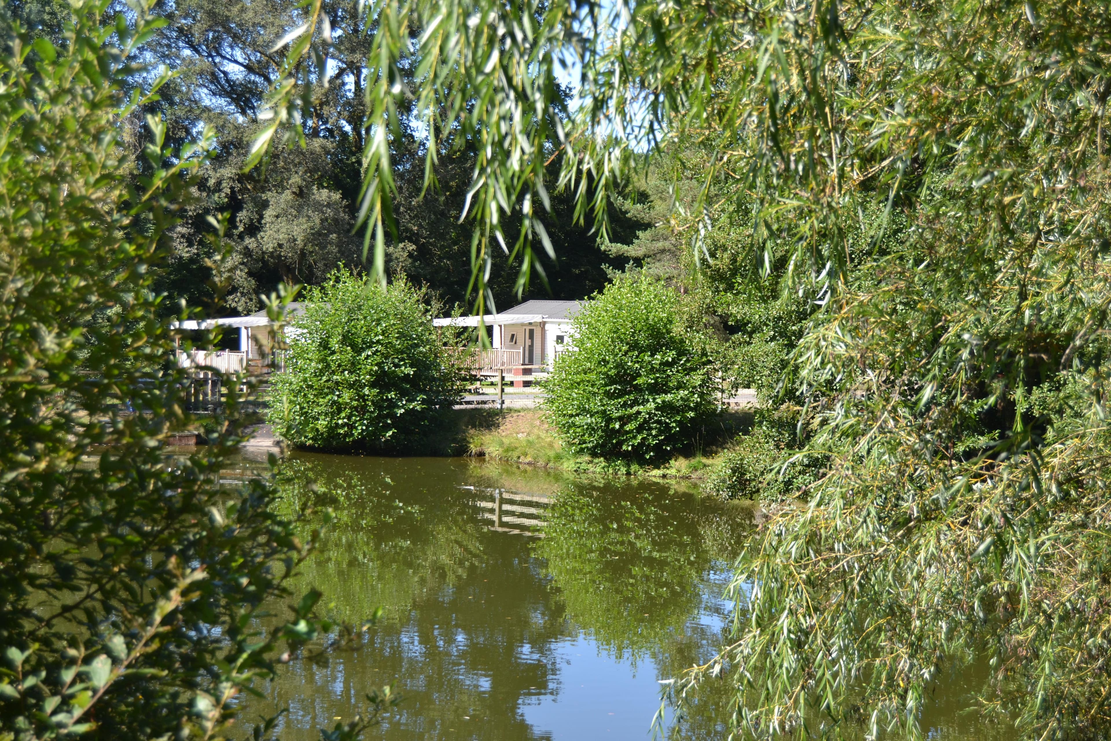 A scenery from Au Bois de Calais
